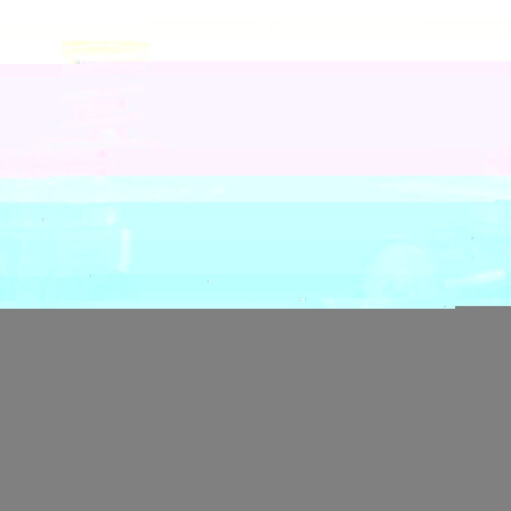 High Pressure Fuel Pump - TRANSMITEK