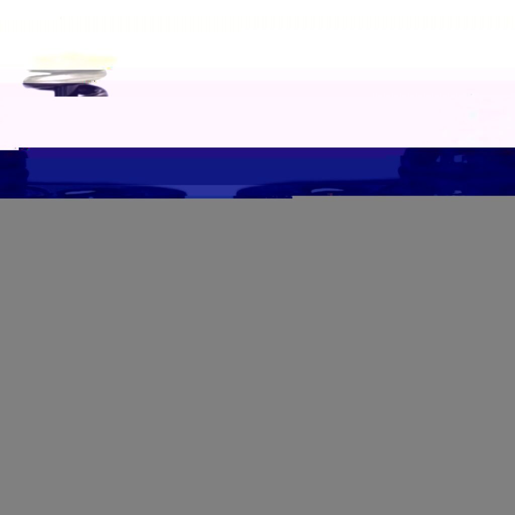 High Pressure Fuel Pump - TRANSMITEK