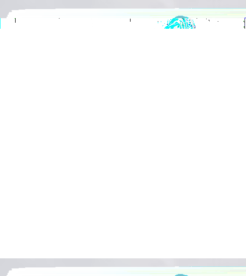 High Pressure Fuel Pump - TRANSMITEK